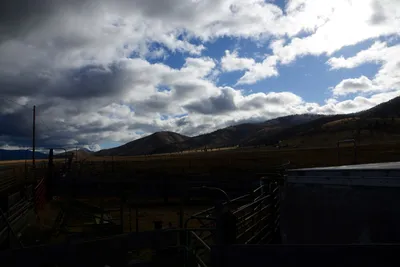 DSC_2895 (Large).JPG